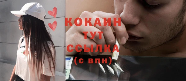 шишки Кулебаки