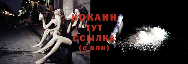 шишки Кулебаки