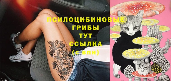 винт Кукмор